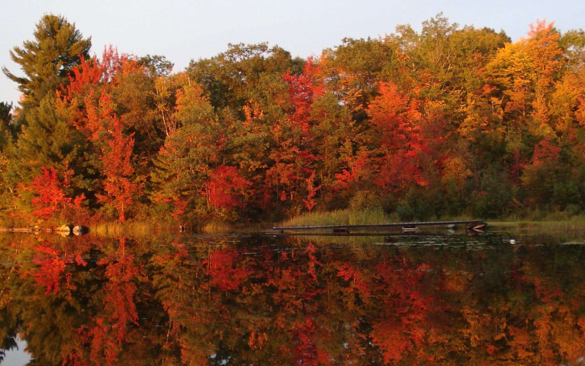 60 of our favourite photos of Canadian fall foliage Cottage Life