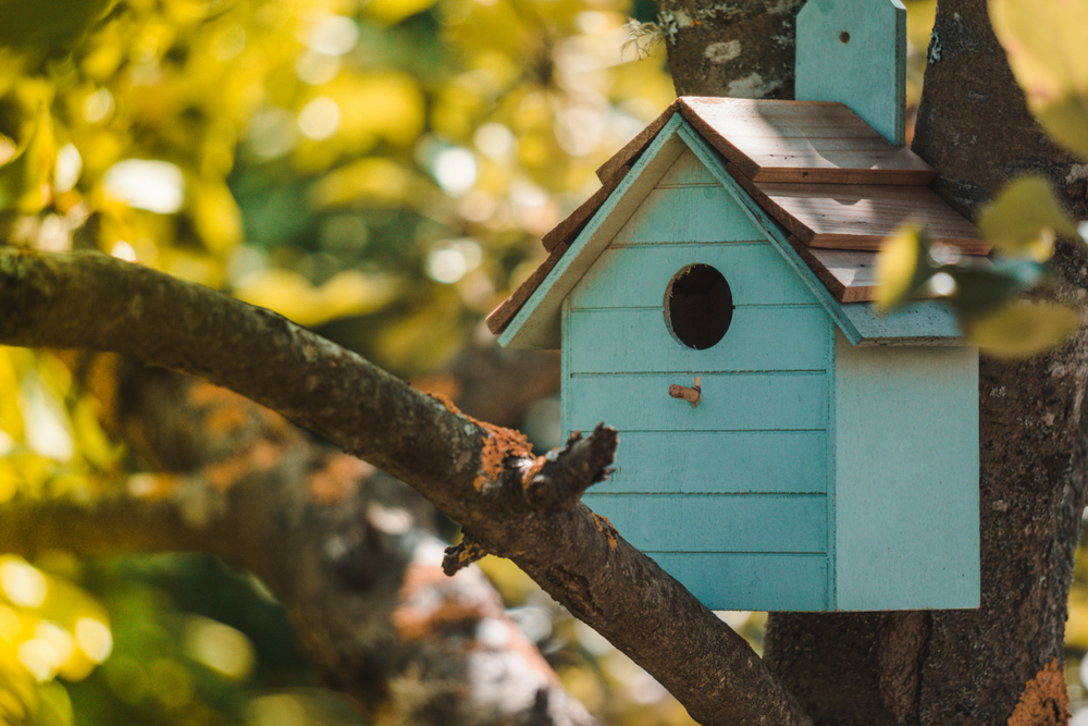 Blue birdhouse hanging from a tree on a sunny day.