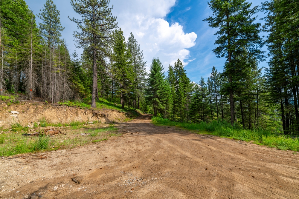 A vacant lot surrounded by a forest, cleared for contruction.