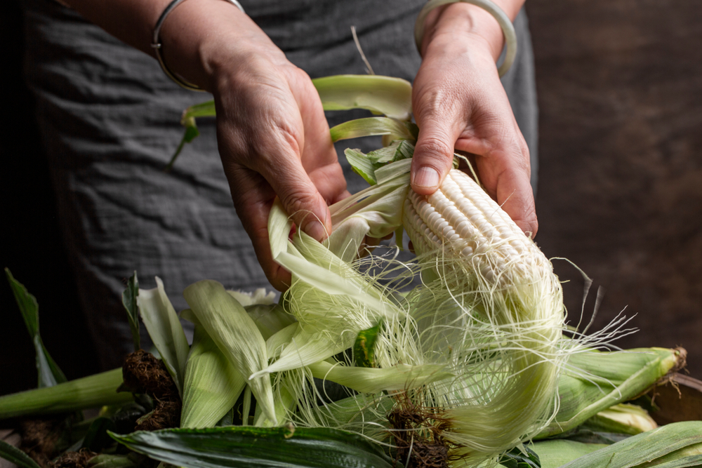 Woman shucking white corn.