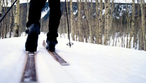 Cross country skier