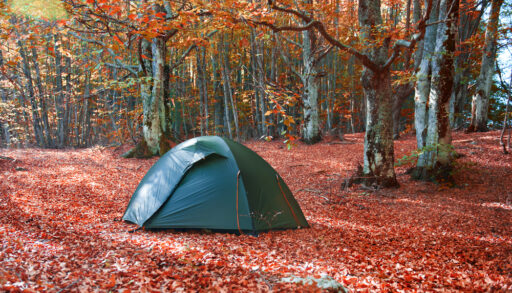 Blue-green tent in the middle of an autumn forest covered in red leaves.