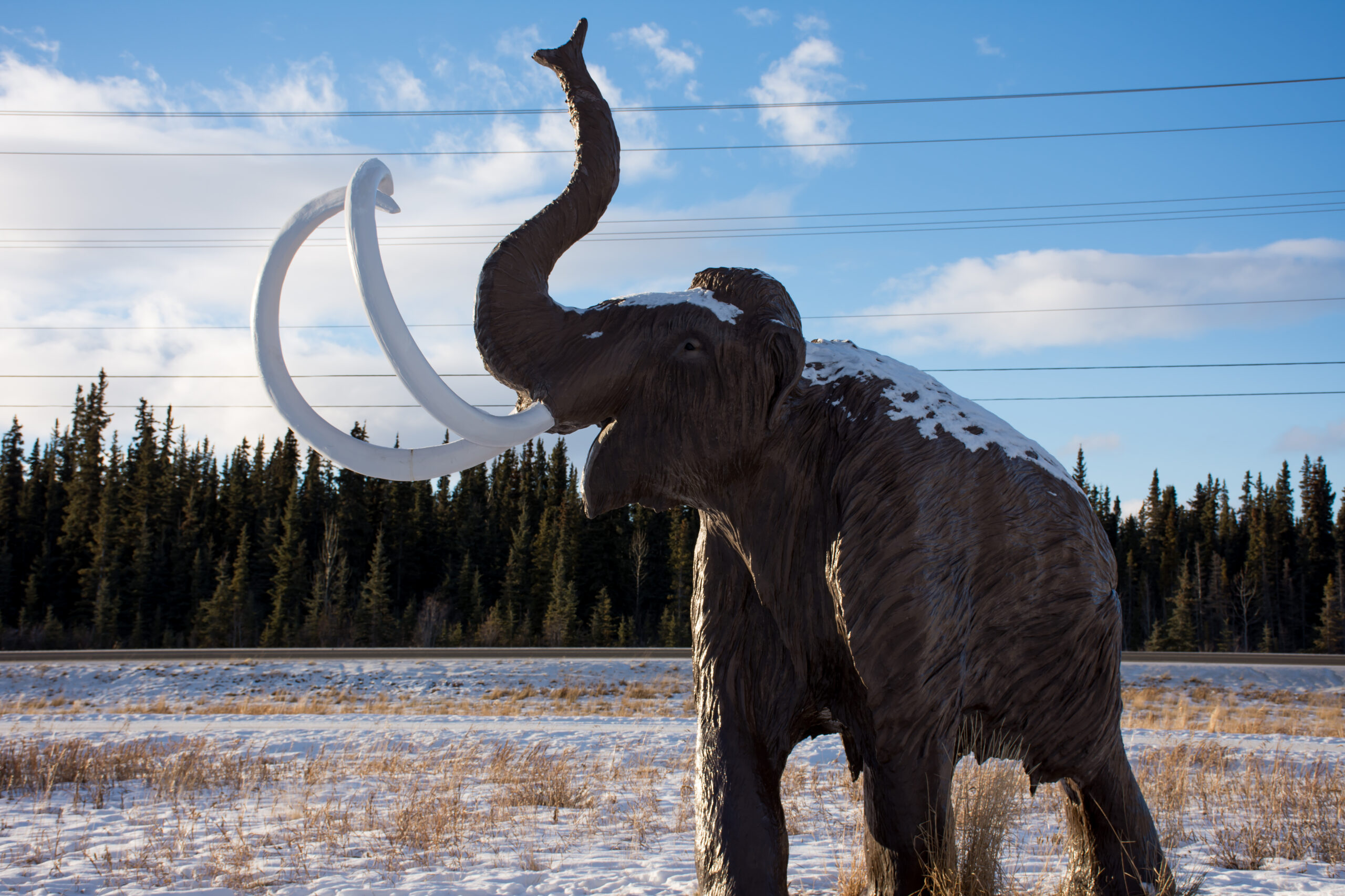 Giant mammoth in Whitehorse, Yukon