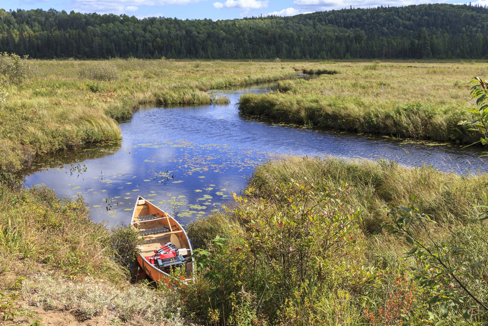Canoe on the Madawaska River in Algonquin Provincial Park, Ontario, Canada.