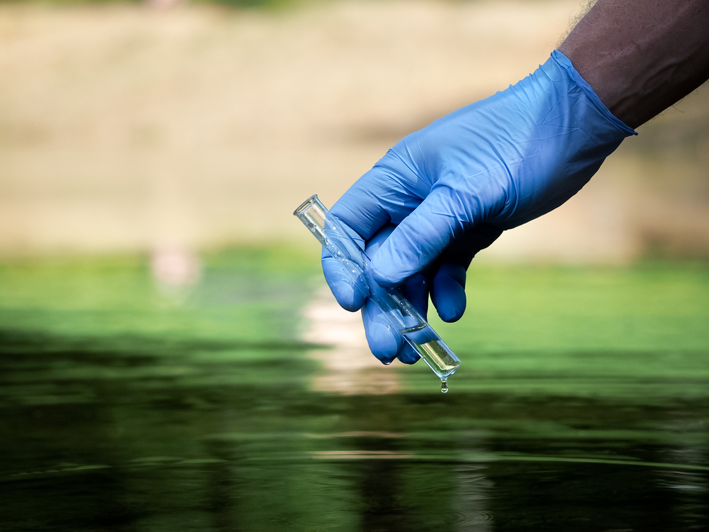 Close-up of a person wearing a blue glove holding a test tube and sampling lake water.
