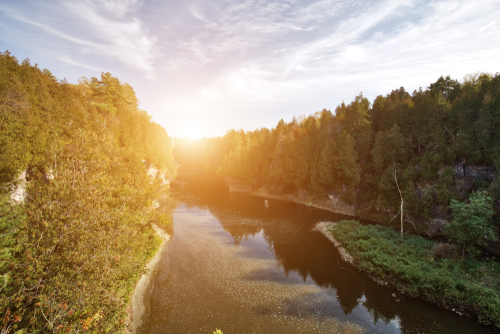 Golden sunlight shining through trees along Elora Gorge, Elora, Ontario.