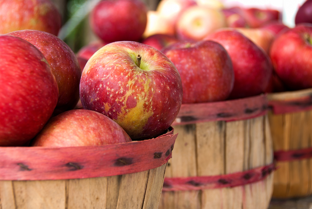Close-up of red apples stacked in barrels at a farmers' market.
