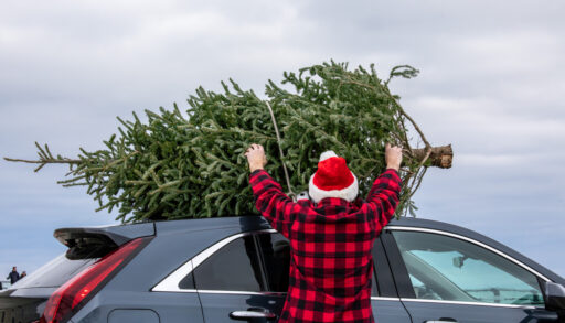 Man in a red plaid shirt, wearing a Santa hat, attaching a pine tree to the top of his car.