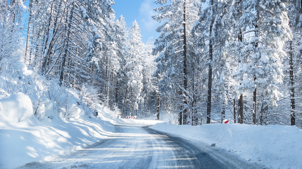 Snow-covered winter road in a forest.