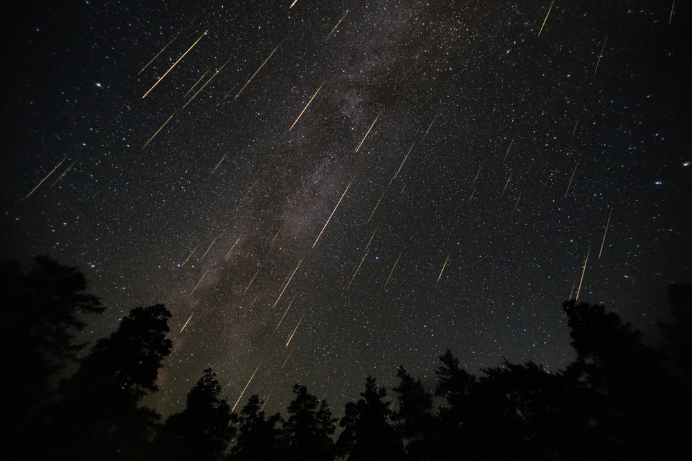 Perseid meteor shower in a dark sky with silhouettes of trees.