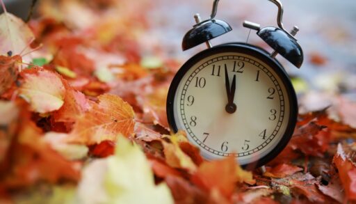 Vintage alarm clock sitting in a pile of autumn leaves.
