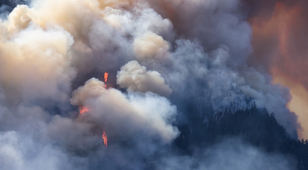 Plumes of smoke from a forest fire near Hope, British Columbia.
