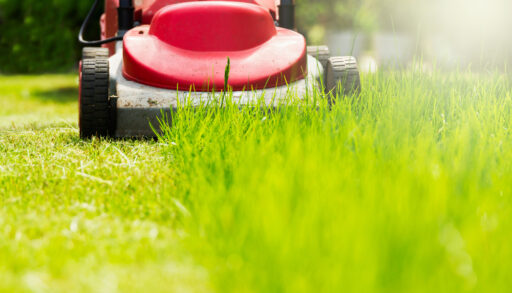 Close-up of a red lawnmower cutting grass.