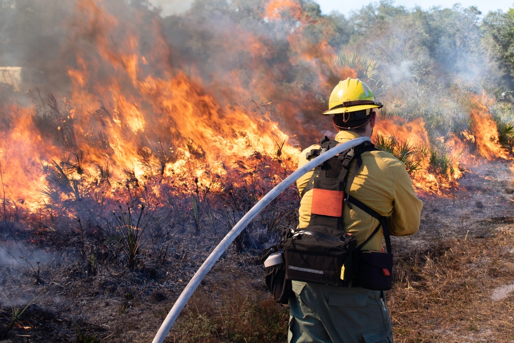 The back of a firefighter as they carry a hose close to a brush fire.