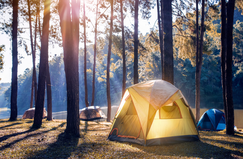 Sunlight hitting a tent in a forest.