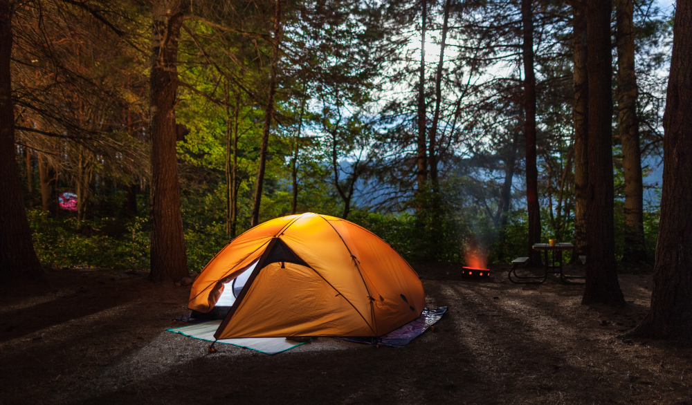Orange tent illuminated in the middle of a forest at night.