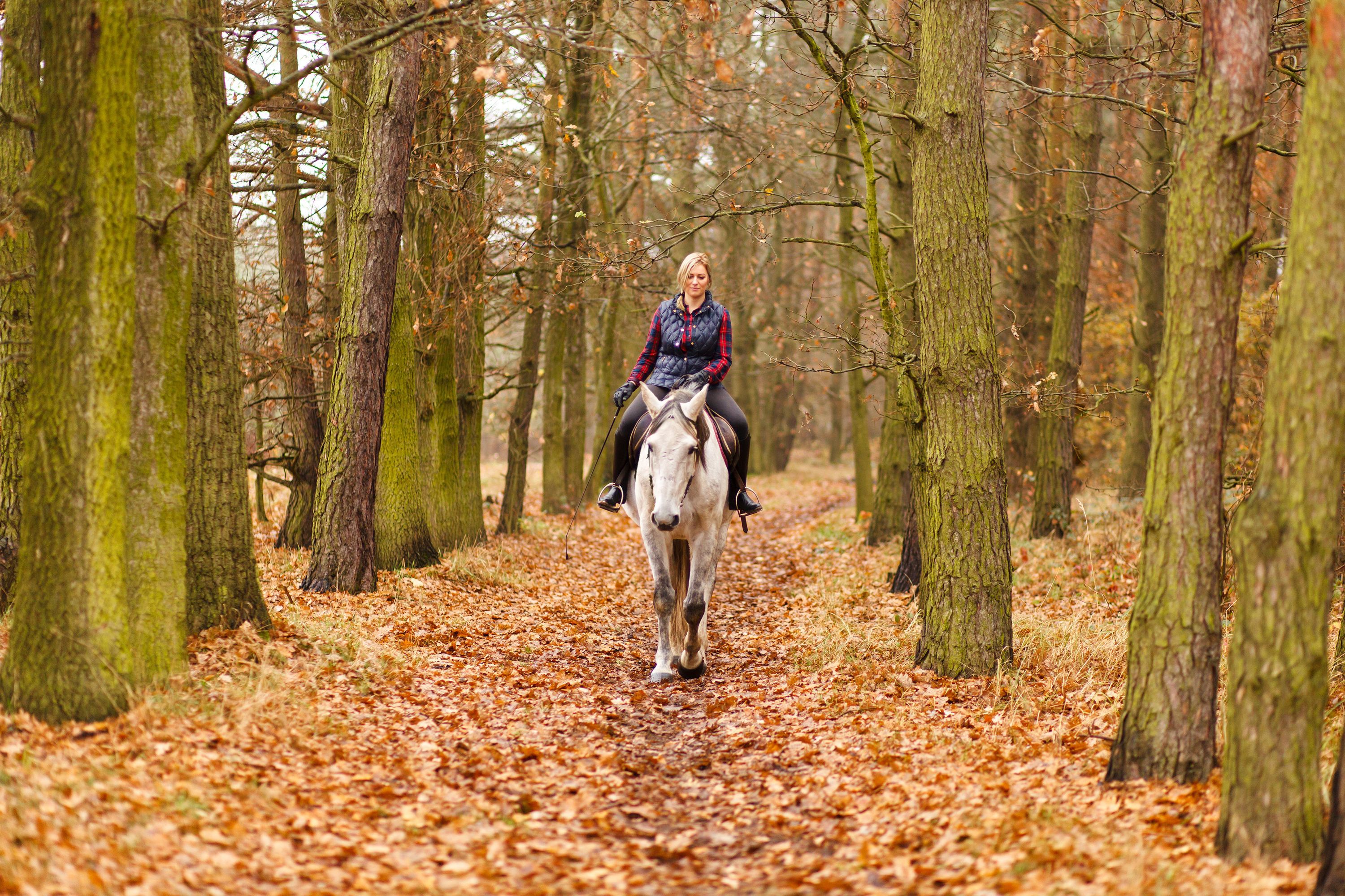 Where to go horseback riding in Ontario cottage country this fall