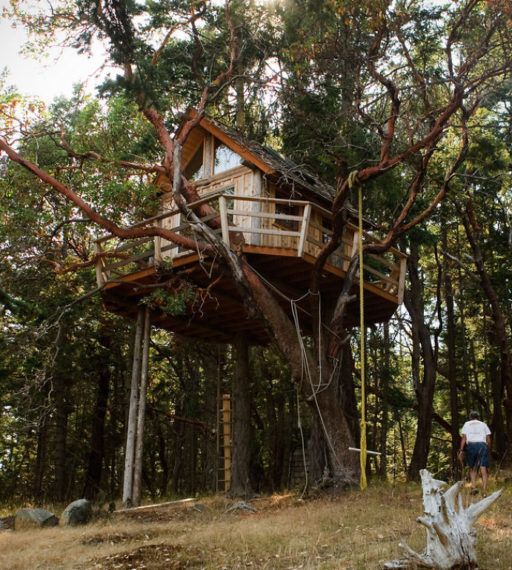10 more unbelievable tree houses from around the globe Cottage Life