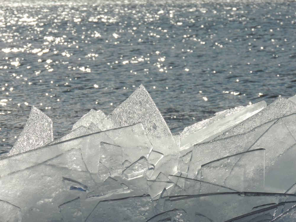 Thin sheets of ice in a body of water.