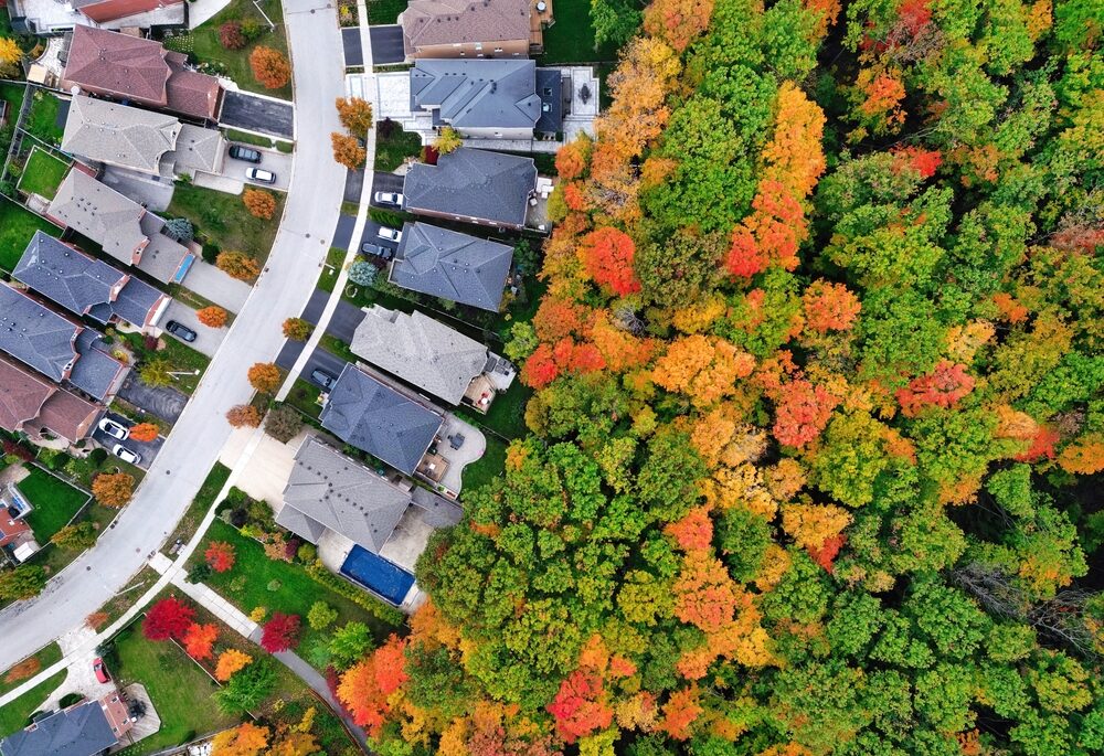 Aerial view of a neighbourhood with autumn trees surrounding.