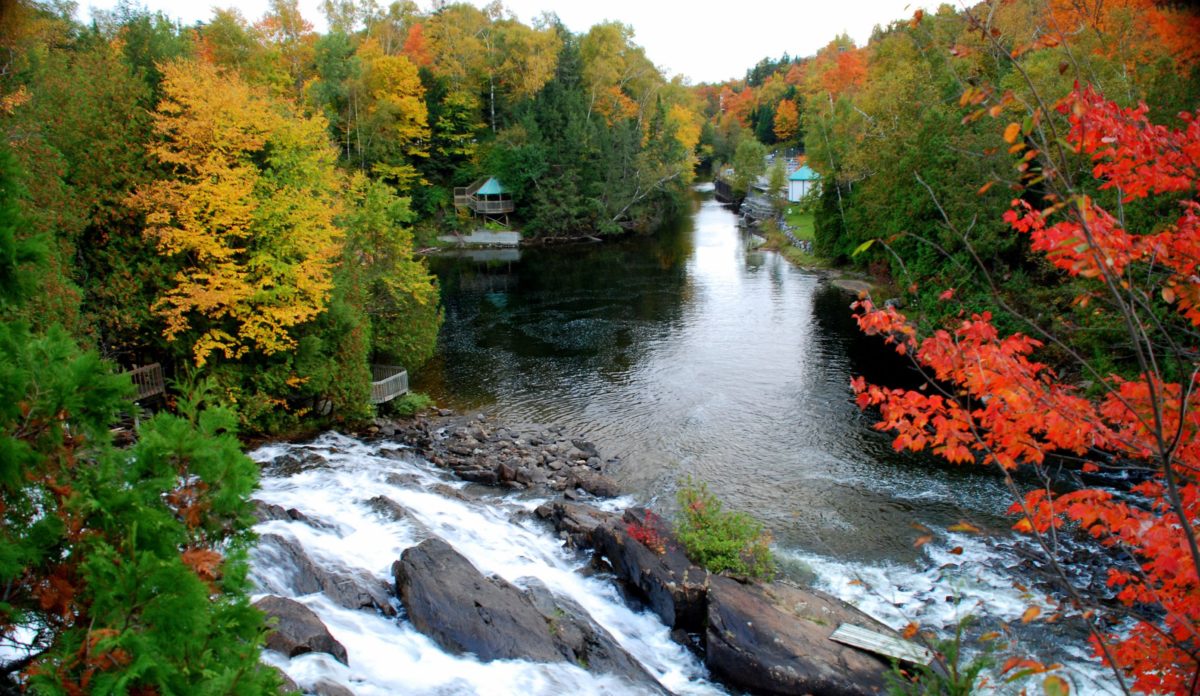 60 of our favourite photos of Canadian fall foliage Cottage Life