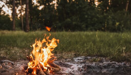 Lonely campfire in the woods at dusk.