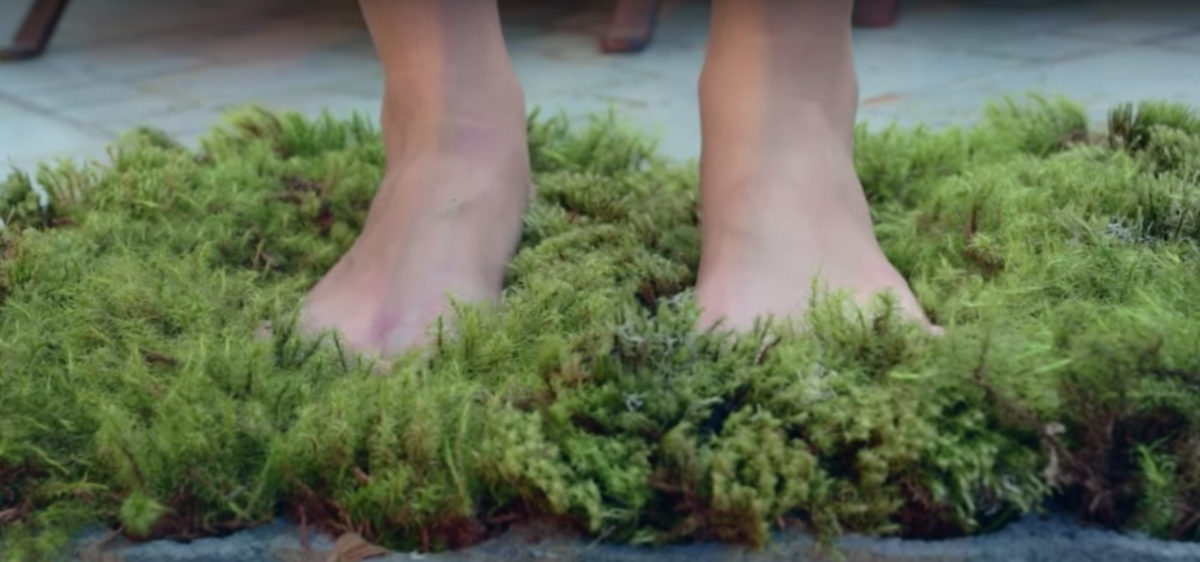 This bath mat made of moss is basically the most lowmaintenance