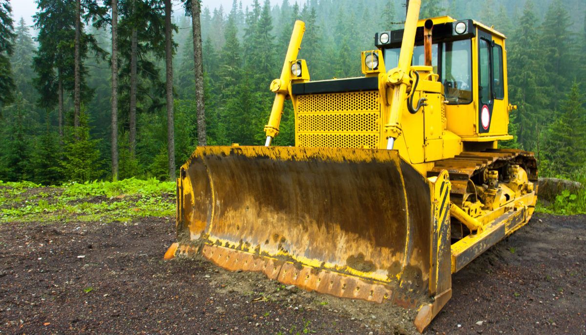 Deforestation