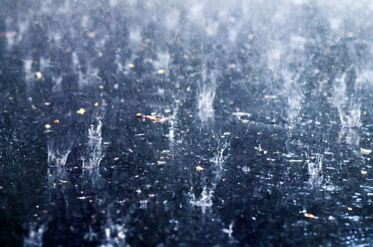 Is acid rain a thing of the past yet? Cottage Life