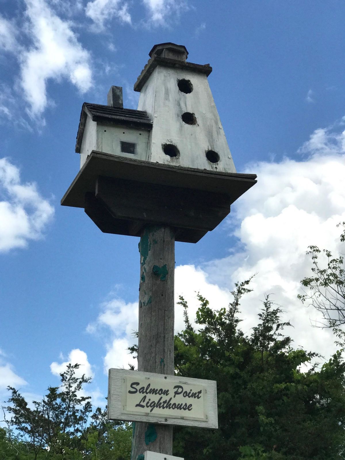 You have to see this city built for birds Cottage Life
