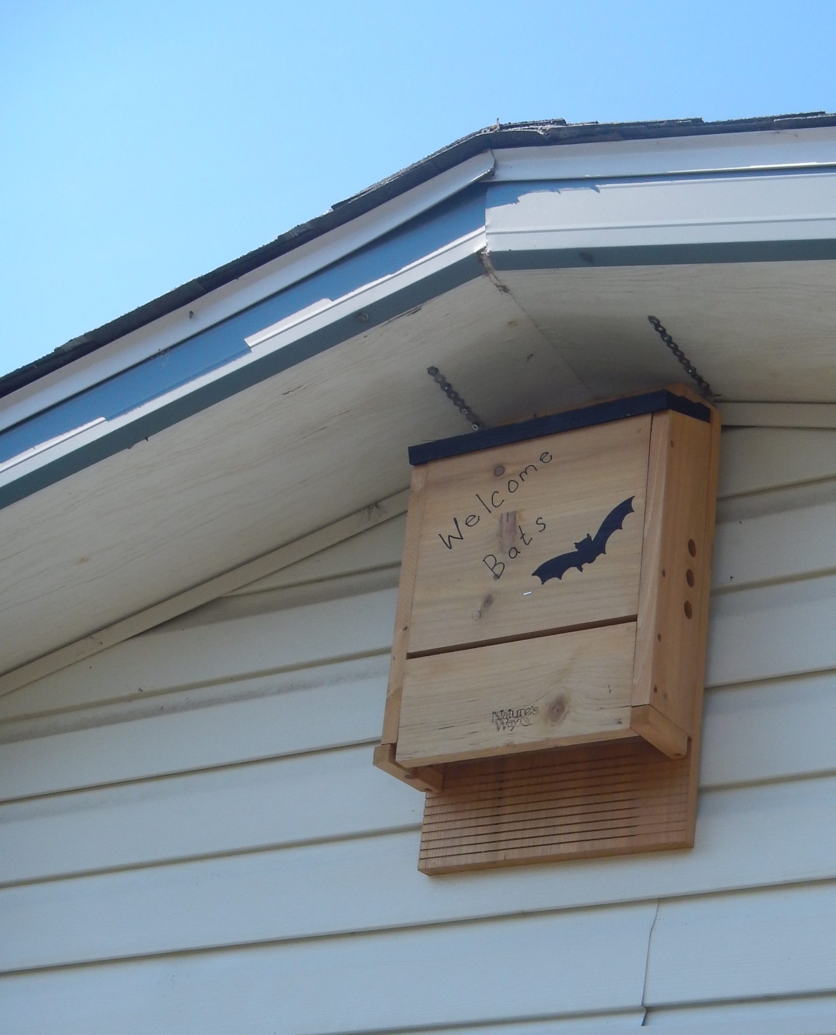Citizen scientists are being asked to help determine the effectiveness of bat boxes Cottage Life