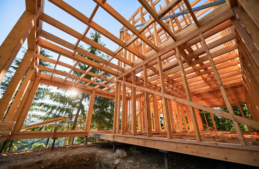 frame of building in the forest