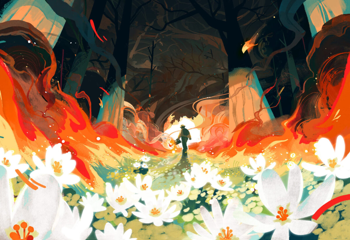 illustration of prescribed burning