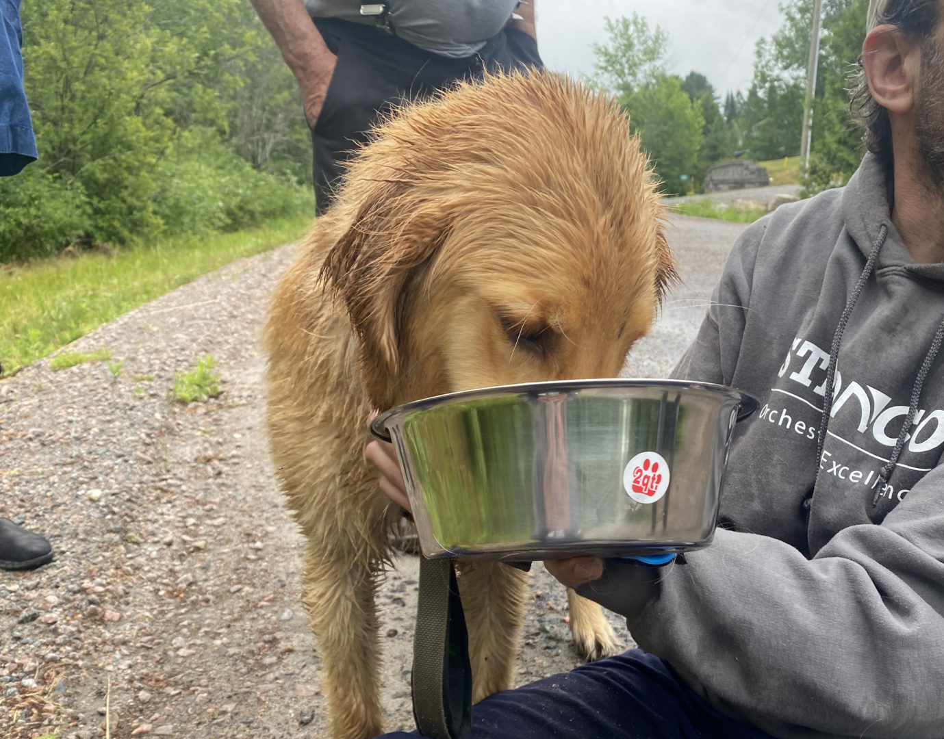 What to do (and not to do) if your dog goes missing in cottage country