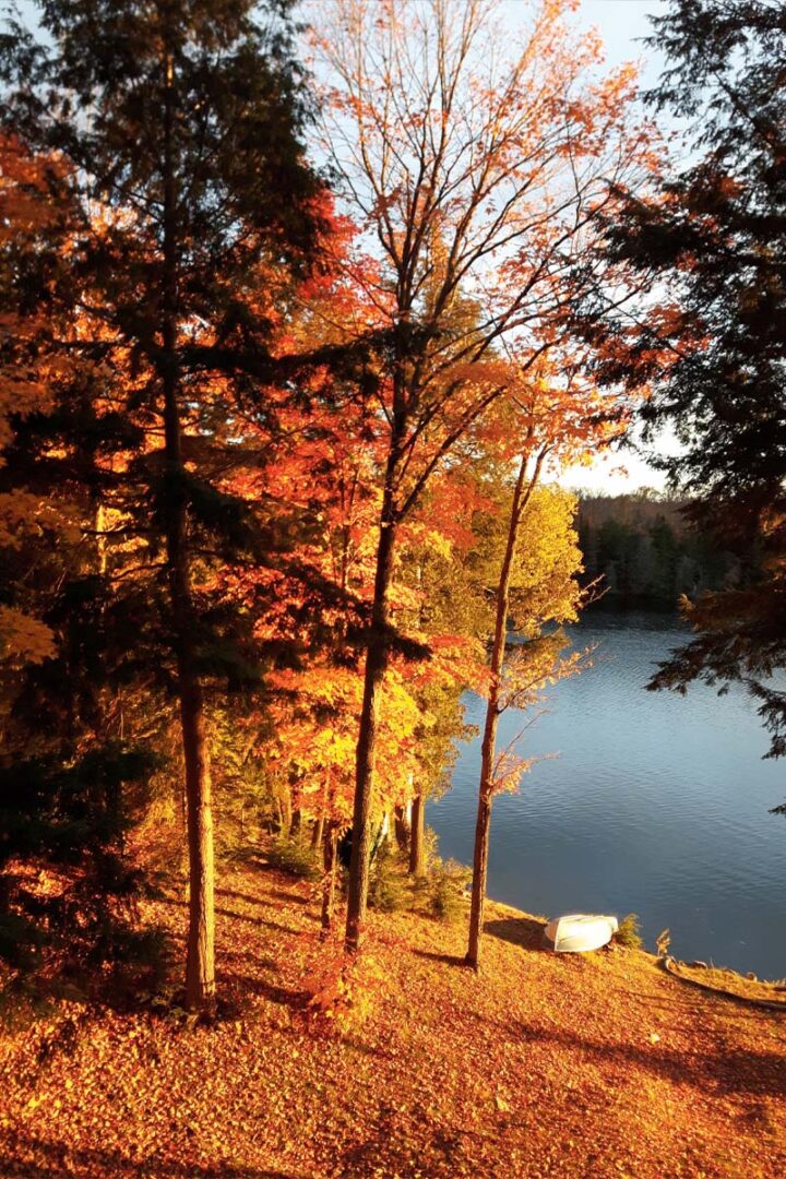 Canoe on the shore in the fall
