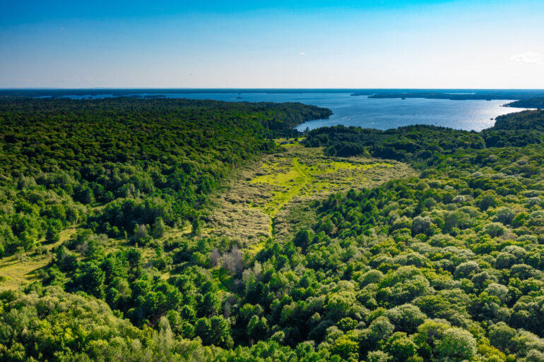 The South Bracebridge Provincially Significant Wetland Complex, as seen from a drone on a sunny day