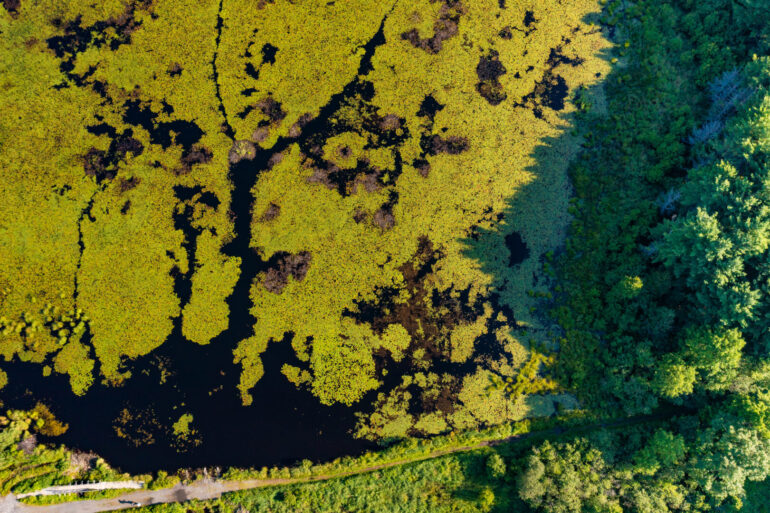 an overheard drone shot of the south bracebridge provincially significant wetland complex