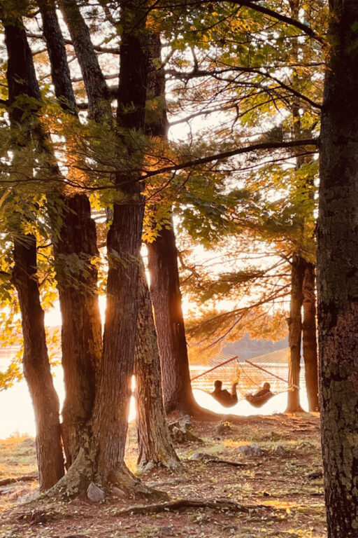 Two people sitting in a hammock in a golden sunset, tall trees framing the hammock and a lake in the background