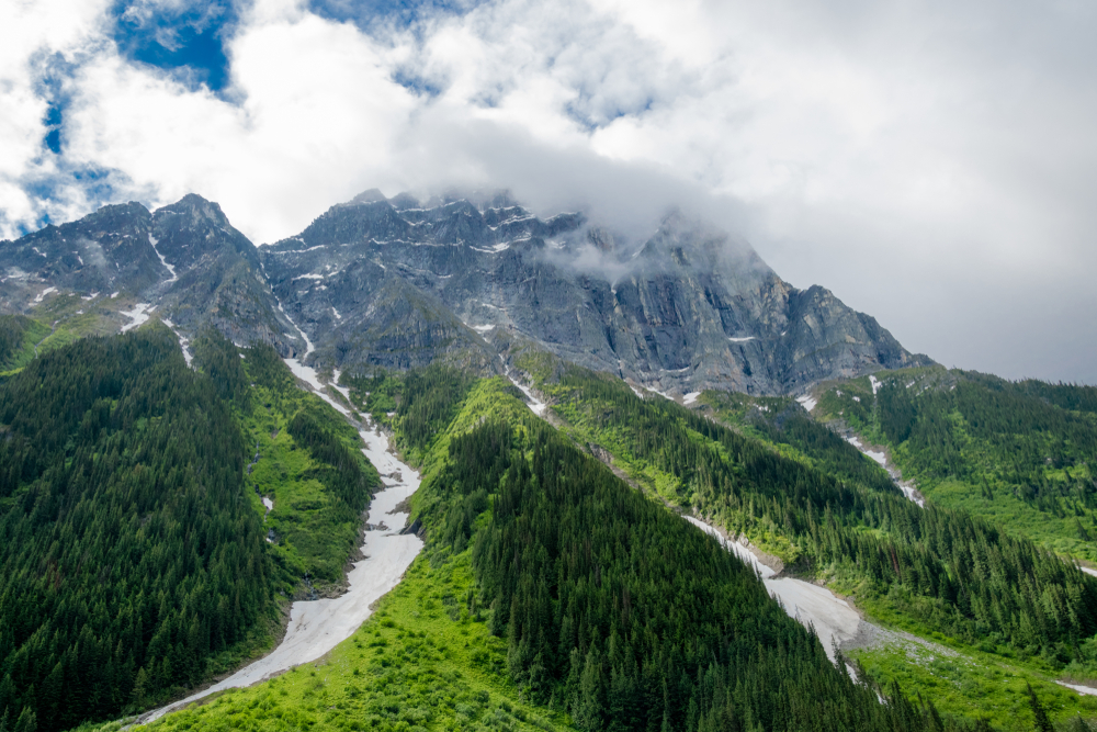 Mount Revelstoke National Park in British Columbia