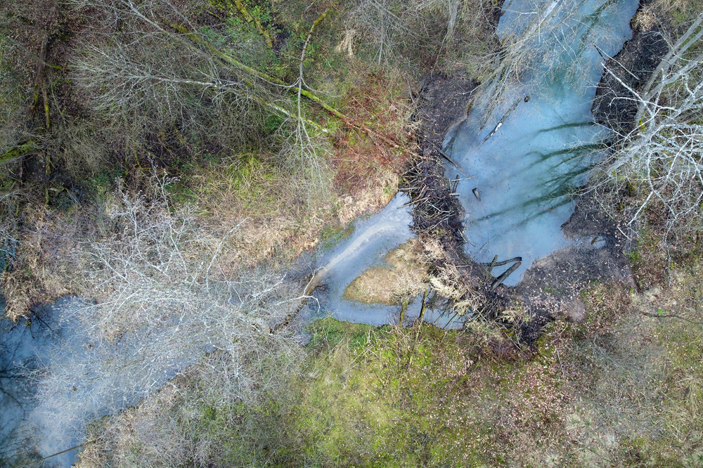 aerial view of a beaver dam