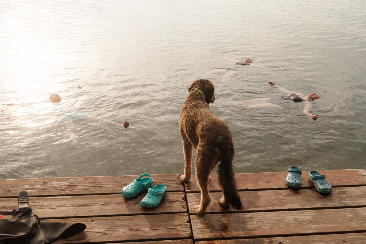 The Bickmore family dog, Fozzie, watches over the kids who are floating in the lake.