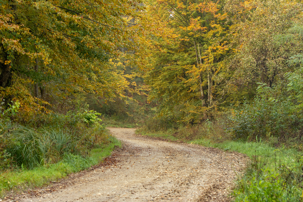 Dirt Road