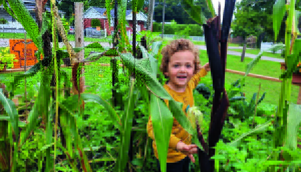 a child in a garden