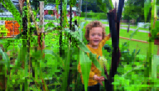 a child in a garden