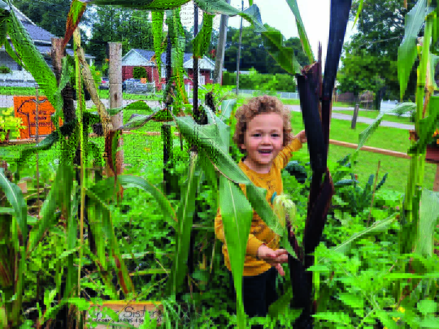 a child in a garden