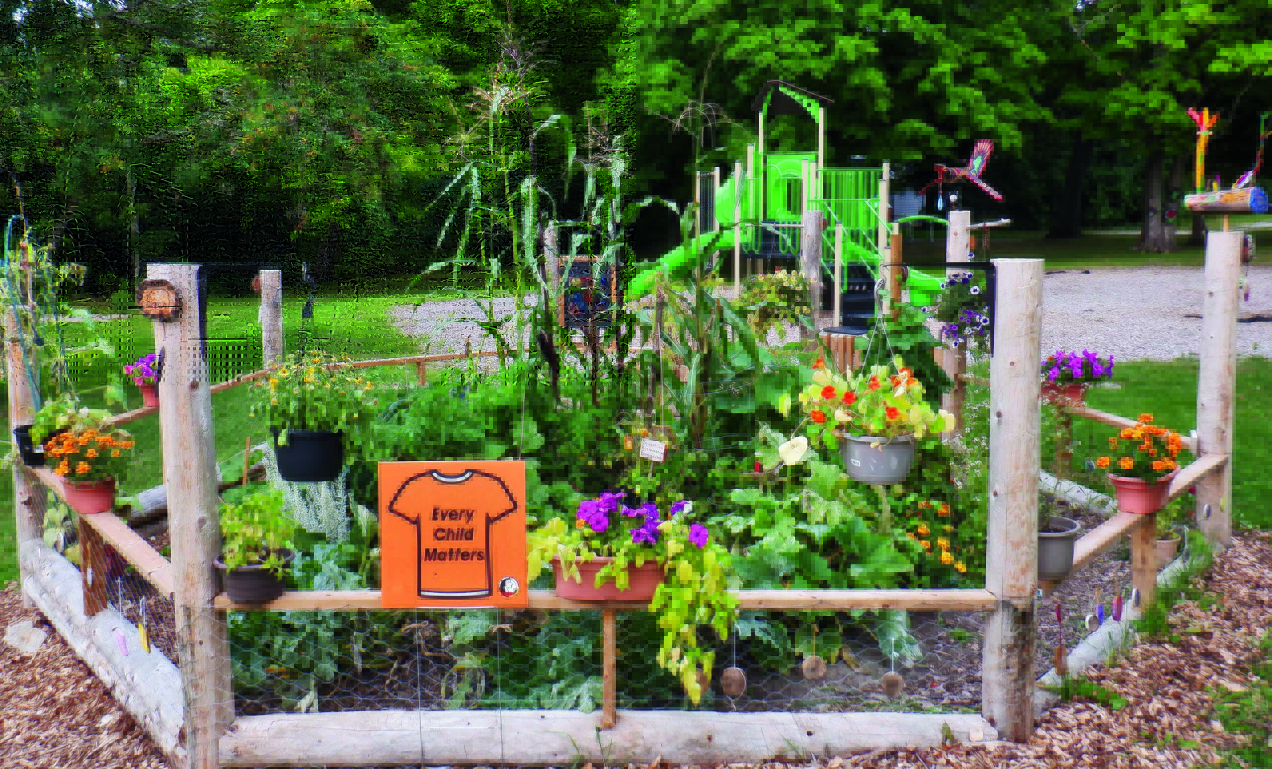 an indigenous community garden