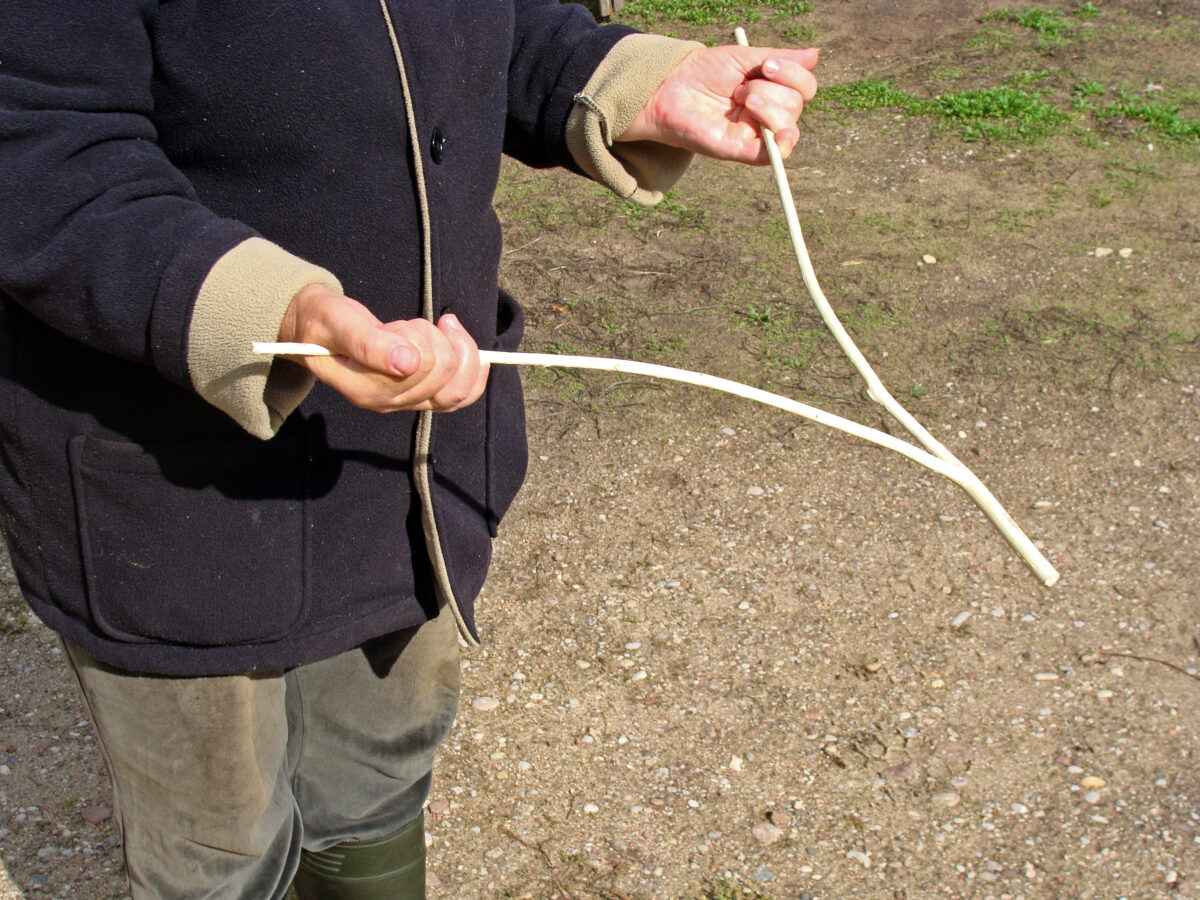 a person holding a dowsing rod