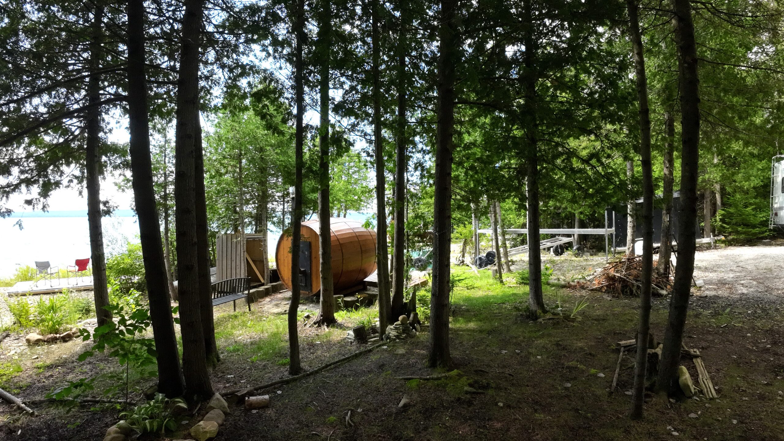 a treed property