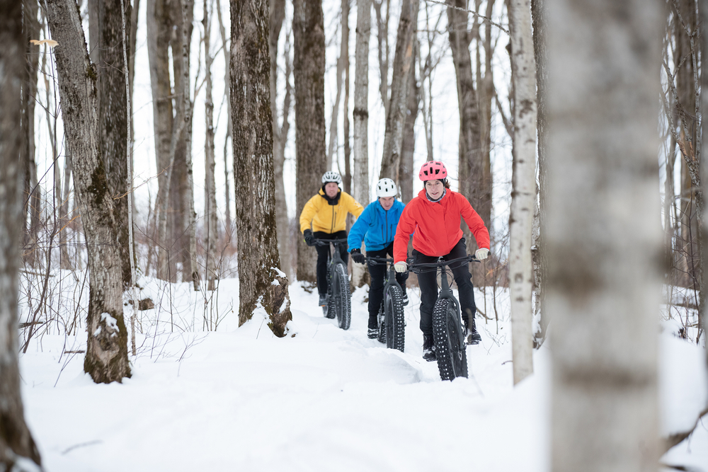 A group of friends on fat-tire bikes in the woods