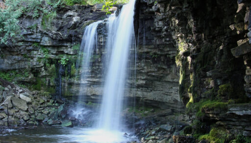 Conservation Halton